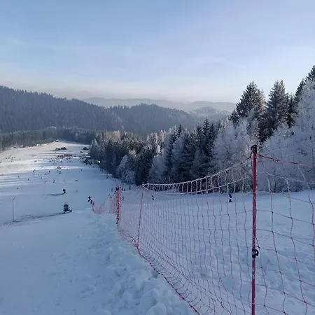 Pod Zvonicou 펜션 Hronec